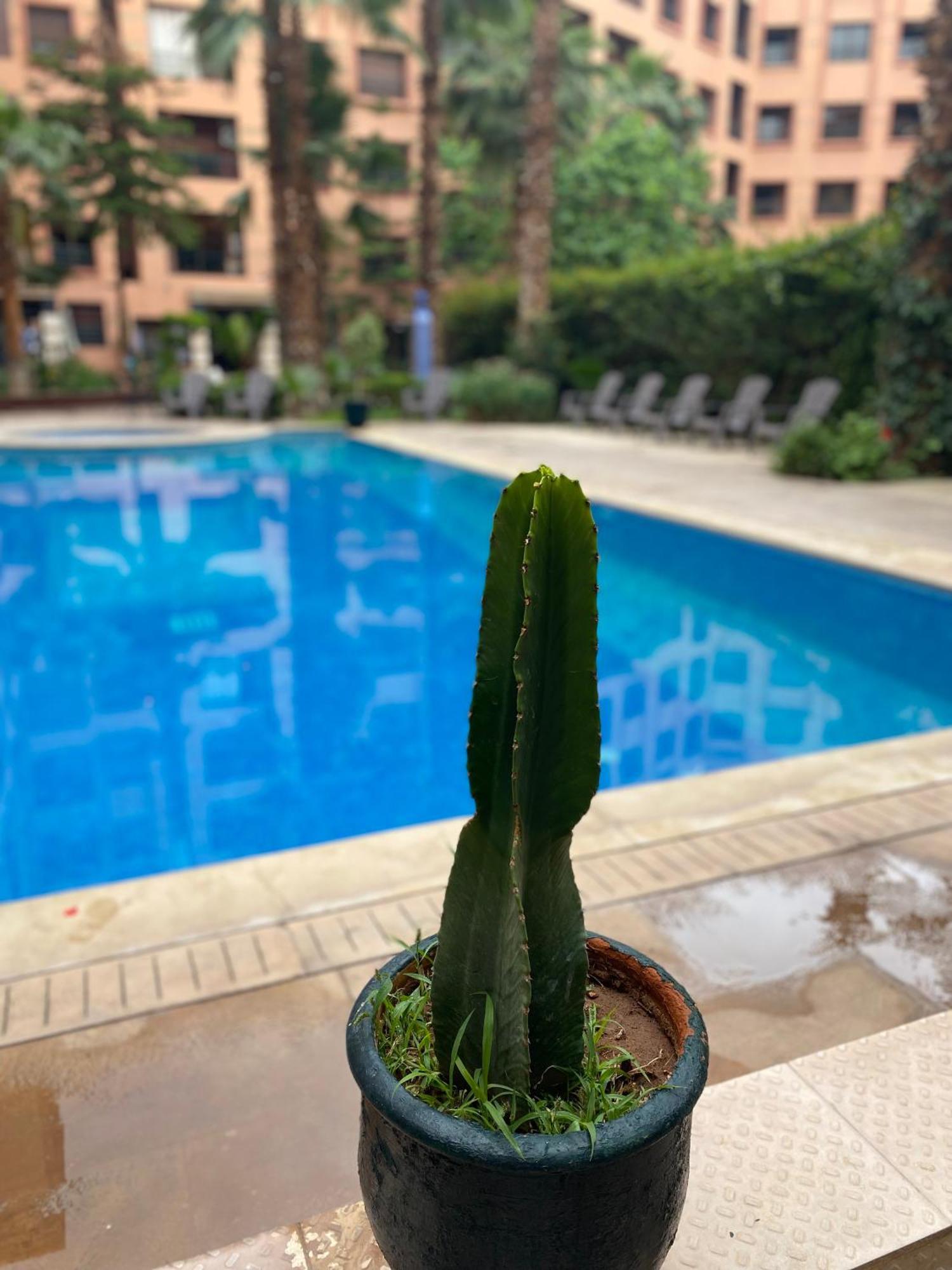 Résidence Caprice Palace Hivernage Marrakesh Exterior foto