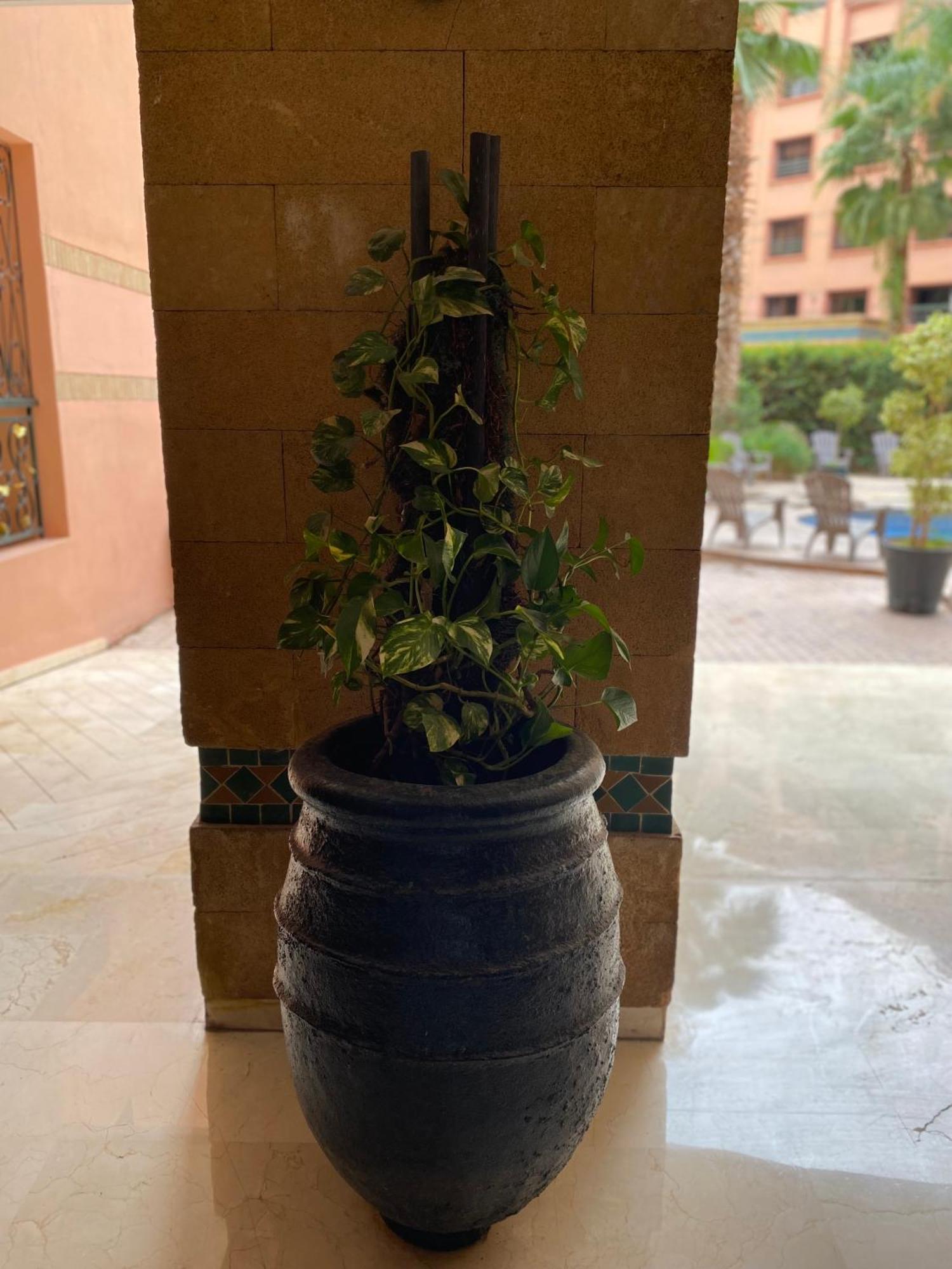 Résidence Caprice Palace Hivernage Marrakesh Exterior foto